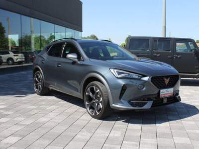 Cupra Formentor 1.5 tsi 150cv dsg Grigio usata Trebaseleghe