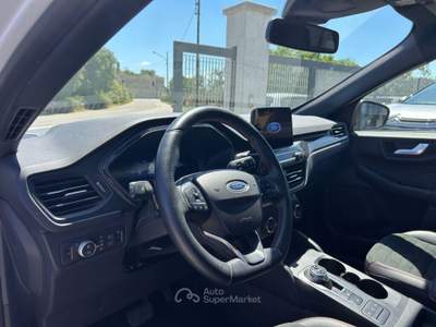 Ford Kuga EcoBlue 120 CV ST-Line Bianco usata Monopoli