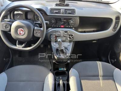 Fiat Panda FIAT Panda 0.9 TwinAir Turbo S&S 4x4 Bianco usata San Benedetto del Tronto