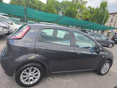 Fiat Punto Evo NON FUMATORE - NEOPATENTATO - CITY CAR - GPL Grigio usata Brescia