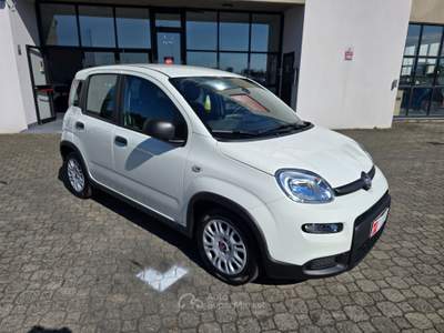 Fiat Panda Cross 1.0 Hybrid - BLUETOOTH Bianco usata Calestano