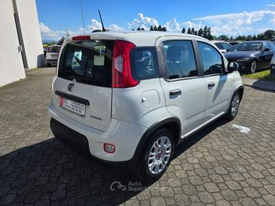 Fiat Panda Cross 1.0 Hybrid - BLUETOOTH Bianco usata Calestano