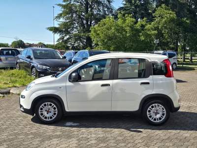 Fiat Panda Cross 1.0 Hybrid - BLUETOOTH Bianco usata Calestano