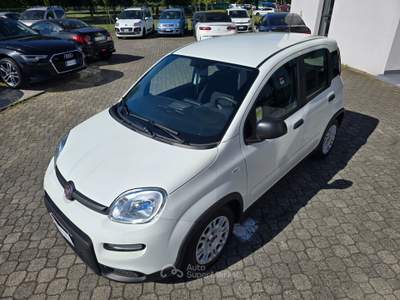 Fiat Panda Cross 1.0 Hybrid - BLUETOOTH Bianco usata Calestano
