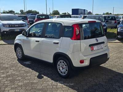 Fiat Panda Cross 1.0 Hybrid - BLUETOOTH Bianco usata Calestano
