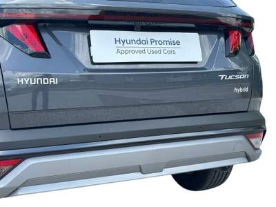 Hyundai Tucson 1.6 HEV 2wd 239cv Business Auto usata Pistoia