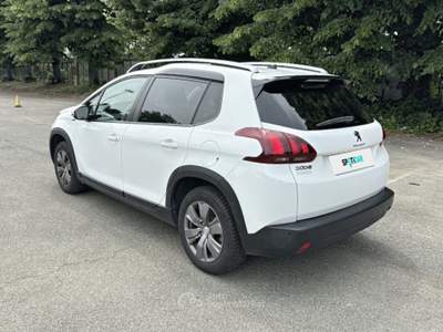 Peugeot 2008 PureTech 82 Signature S/S Bianco usata TORINO