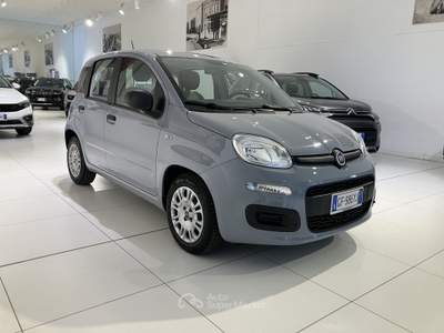 Fiat Panda 1.0 FireFly 70cv S&S Hybrid Grigio usata Fornovo di Taro