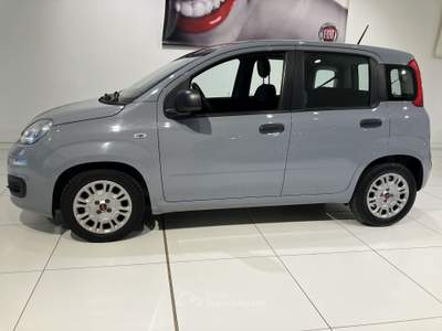 Fiat Panda 1.0 FireFly 70cv S&S Hybrid Grigio usata Fornovo di Taro