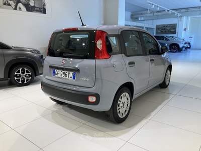 Fiat Panda 1.0 FireFly 70cv S&S Hybrid Grigio usata Fornovo di Taro