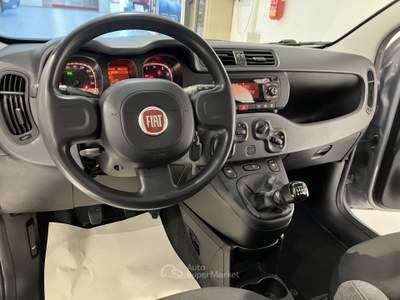 Fiat Panda 1.0 FireFly 70cv S&S Hybrid Grigio usata Fornovo di Taro