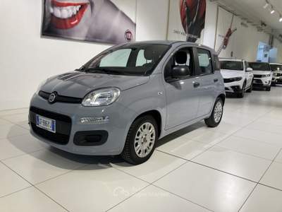 Fiat Panda 1.0 FireFly 70cv S&S Hybrid Grigio usata Fornovo di Taro