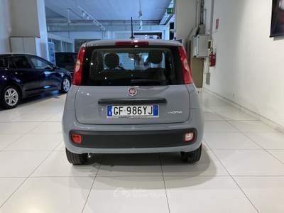 Fiat Panda 1.0 FireFly 70cv S&S Hybrid Grigio usata Fornovo di Taro