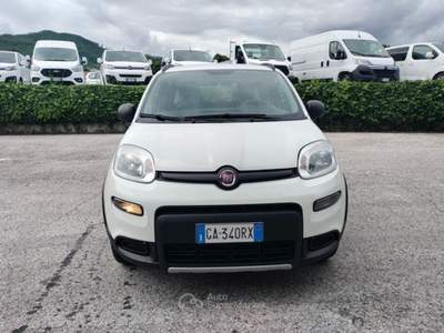Fiat Panda 0.9 TwinAir Turbo 85cv S&S E6d-Temp 4x4 Bianco usata Bagni di Lucca