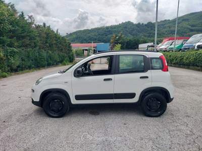 Fiat Panda 0.9 TwinAir Turbo 85cv S&S E6d-Temp 4x4 Bianco usata Bagni di Lucca