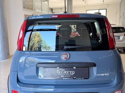 Fiat Panda FireFly S&S Hybrid City Life 5posti Grigio usata ALTAMURA