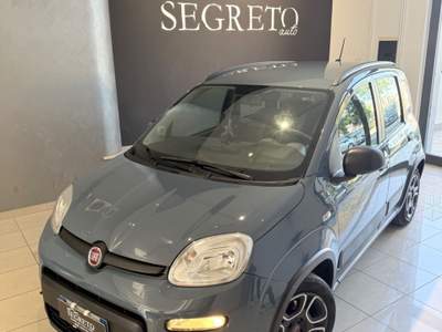 Fiat Panda FireFly S&S Hybrid City Life 5posti Grigio usata ALTAMURA