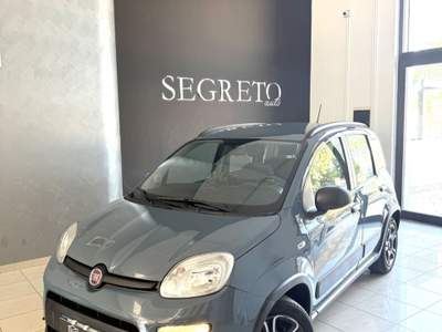 Fiat Panda FireFly S&S Hybrid City Life 5posti Grigio usata ALTAMURA