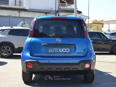 Fiat Panda 1.0 FireFly S&S Hybrid Pandina Cross 70 C 70 Cv Blu/Azzurro usata Ardea