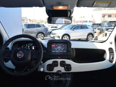 Fiat Panda 1.0 FireFly S&S Hybrid Pandina Cross 70 C 70 Cv Blu/Azzurro usata Ardea