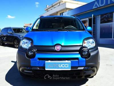 Fiat Panda 1.0 FireFly S&S Hybrid Pandina Cross 70 C 70 Cv Blu/Azzurro usata Ardea