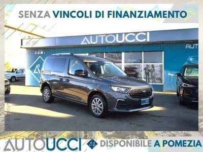 Ford Tourneo Connect 2.0 EcoBlue Titanium 5 posti 122 CV Grigio usata Ardea