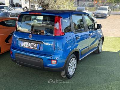 Fiat Panda Pandina III 2024 Pandina 1.0 firefly hybrid Blu/Azzurro usata Castel Gandolfo