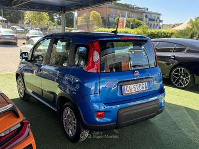 Fiat Panda Pandina III 2024 Pandina 1.0 firefly hybrid Blu/Azzurro usata Castel Gandolfo