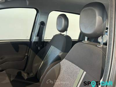 Fiat Panda 1.0 FireFly S&S Hybrid Grigio usata San Vitaliano