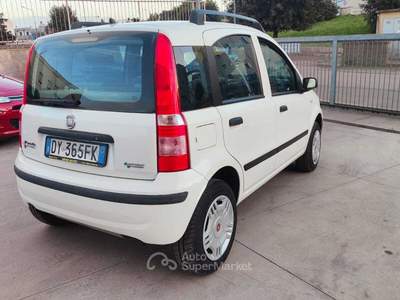 Fiat Panda ADATTA A NEOPATENTATI E PER L'UTILIZZO QUOTIDIANO Bianco usata Ceglie Messapica