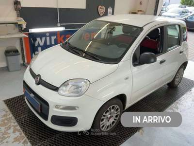 Fiat Panda 1.2 Easy 69cv Bianco usata Leno