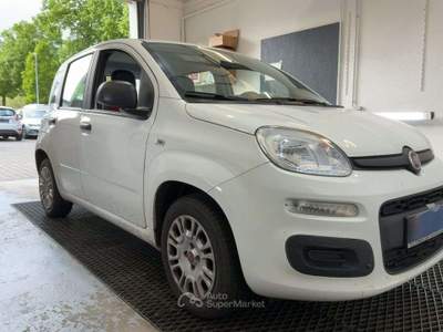 Fiat Panda 1.2 Easy 69cv Bianco usata Leno