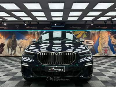 BMW X5 M50 M50d (325) Blu/Azzurro usata Calenzano