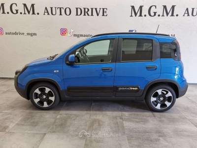 Fiat Panda 1.0 FireFly S&S Hybrid Pandina Blu/Azzurro usata Erba