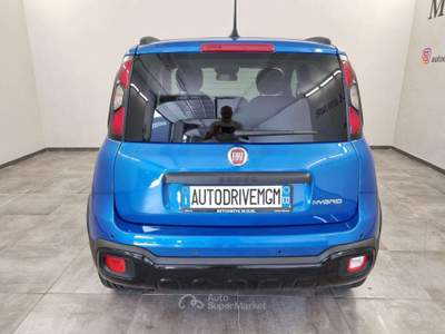 Fiat Panda 1.0 FireFly S&S Hybrid Pandina Blu/Azzurro usata Erba