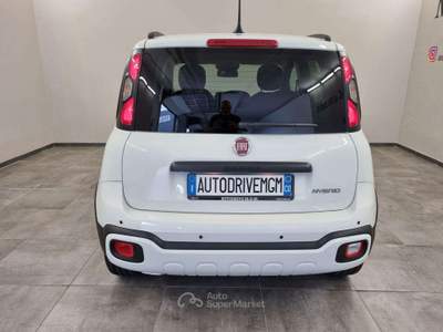 Fiat Panda 1.0 FireFly S&S Hybrid Pandina Bianco usata Erba