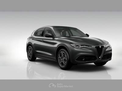 Alfa Romeo Stelvio Diesel 160 Cv Sprint Grigio usata Lamezia Terme