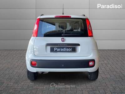 Fiat Panda LOUNGE | 1.3 - MULTIJET - DIESEL - 95CV | 2016 Bianco usata Lamezia Terme