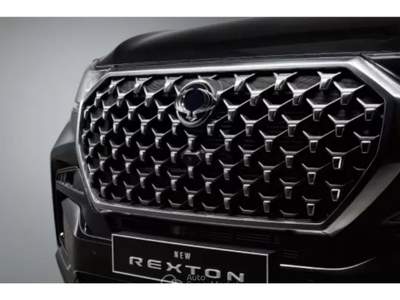 SsangYong Rexton K-LINE-2.2 Turbodiesel (AT) Grigio usata Lamezia Terme