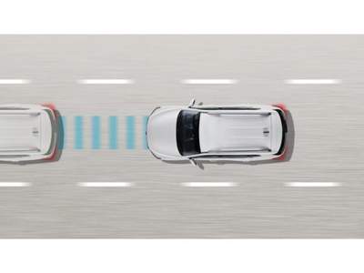 SsangYong Rexton K-LINE-2.2 Turbodiesel (AT) Grigio usata Lamezia Terme