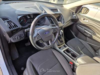 Ford Kuga 2.0TDCI - 120CV | POWERSHIFT BUSINESS - 2WD Bianco usata Lamezia Terme