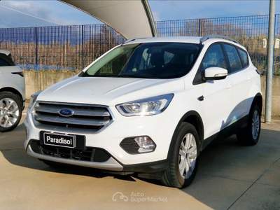 Ford Kuga 2.0TDCI - 120CV | POWERSHIFT BUSINESS - 2WD Bianco usata Lamezia Terme