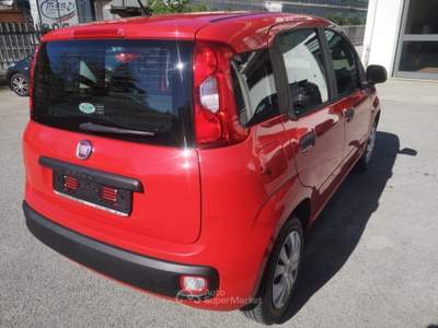 Fiat Panda 1.2 Easy Rosso usata Itri