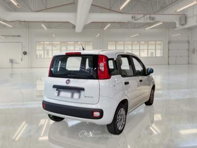 Fiat Panda FIAT PANDA 1.0 FIREFLY 70 CV SES HYBRID 5 PORTE BERLINA usata Bentivoglio