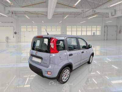 Fiat Panda FIAT PANDA 1.0 FIREFLY 70 CV SES HYBRID 5 PORTE BERLINA usata Casei Gerola