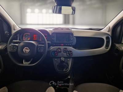 Fiat Panda FIAT PANDA 0.9 TWINAIR TURBO 85 CV WILD 4X4 5 PORTE BERLINA usata Pozzuoli