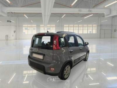 Fiat Panda FIAT PANDA 1.0 FIREFLY 70 CV SES HYBRID CITY LIFE 5 PORTE BERLINA usata Pozzuoli