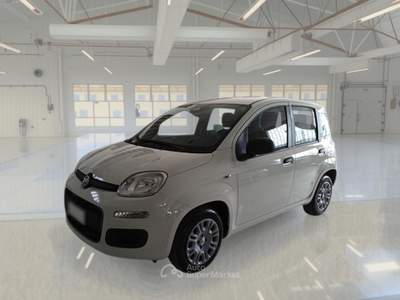 Fiat Panda FIAT PANDA 1.0 FIREFLY 70 CV SES HYBRID 5 PORTE BERLINA usata Verona
