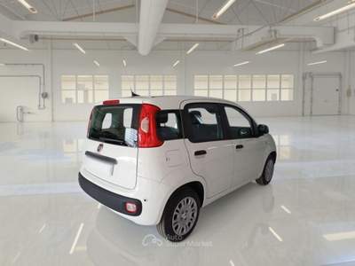 Fiat Panda FIAT PANDA 1.0 FIREFLY 70 CV SES HYBRID 5 PORTE BERLINA usata Verona