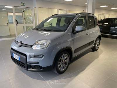 Fiat Panda  - panda 1.0 firefly s&s hybrid city life Grigio usata Torino